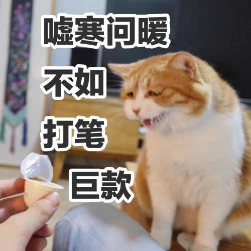 ���˹�(ji��)Ҫ΢�żt��