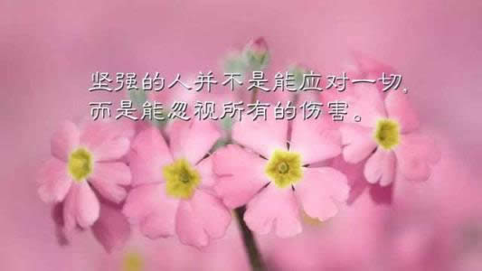 ΢������Ȧ�簲���Z�DƬ