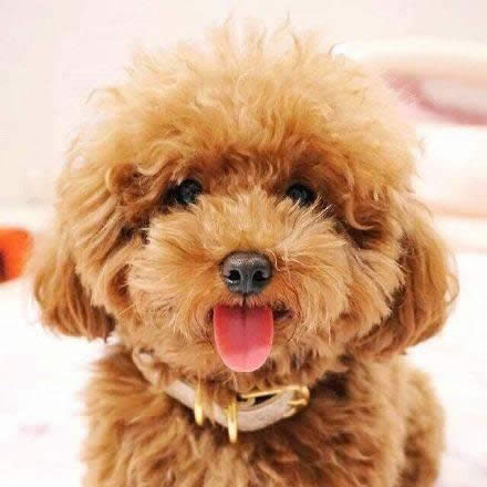 �����^��