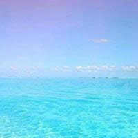 ΢����ؔ(c��i)�����^��