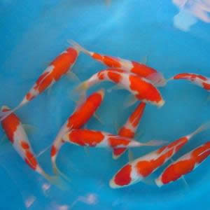 �\���^��