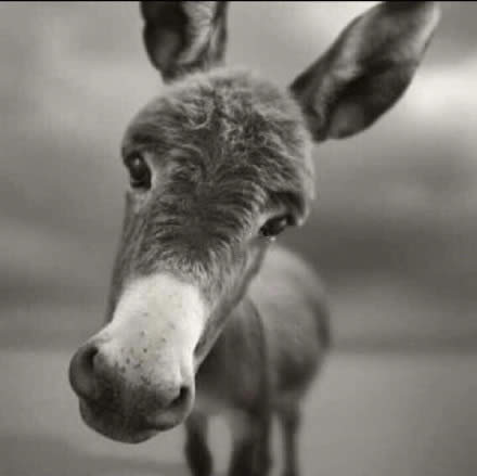 渣男頭像 渣男頭像