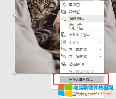 PPT��ô����̓�������D?