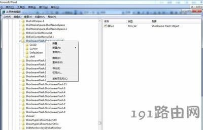 �o�����žW(w��ng)�ҕ�l���bFlash��ʾ�o��ע��ActiveX�ؼ��Ľ�Q����