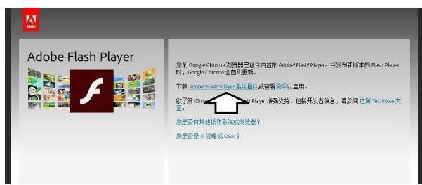 �l(f��)���e�`